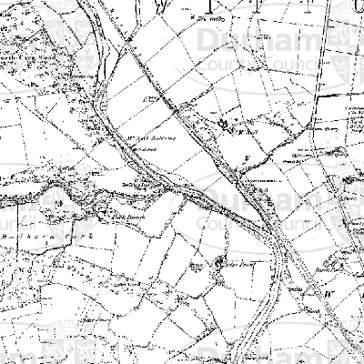 Export Image